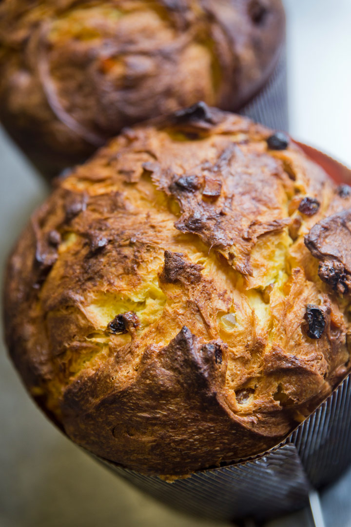 Le Panettone pâtisserie : la recette et le moule